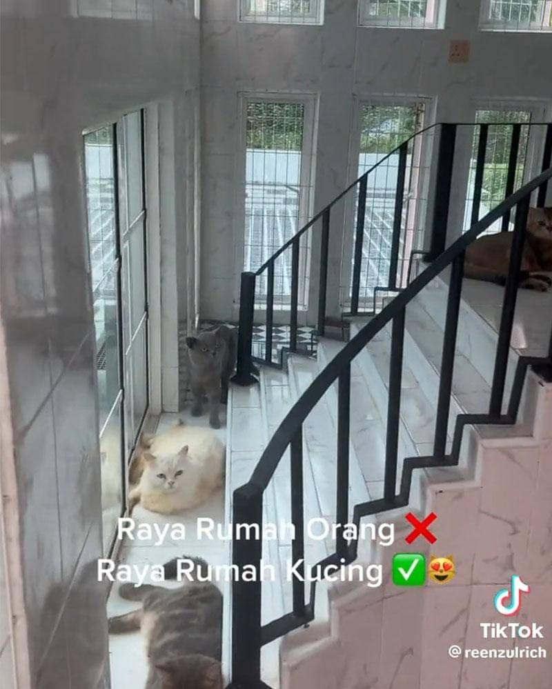 TikTok.com/reenzulrich