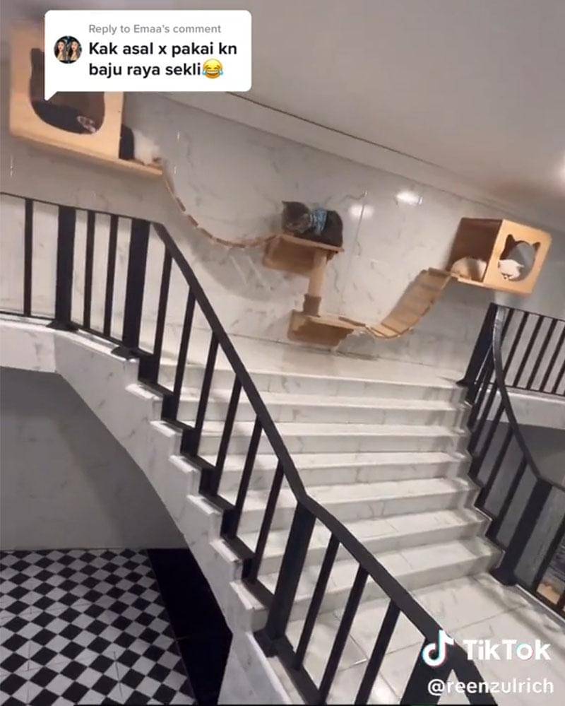 TikTok.com/reenzulrich