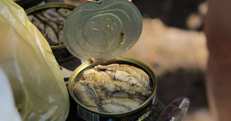 Unsplash/Ignat Kushanrev