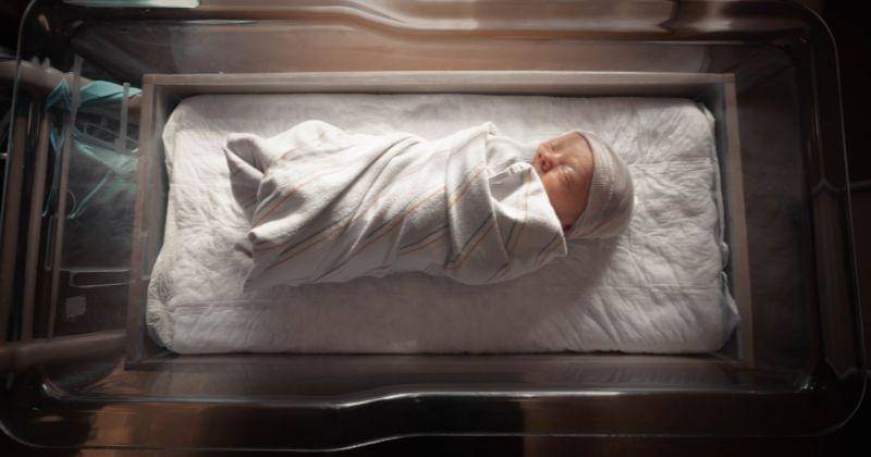 Unsplash/Jimmy Conover