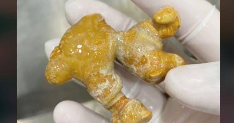 TikTok.com/Fujiassahar