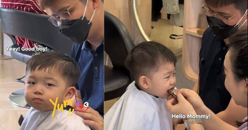 TikTok.com/apinsalon