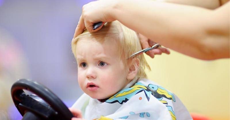 Freepik/maria_sbytova