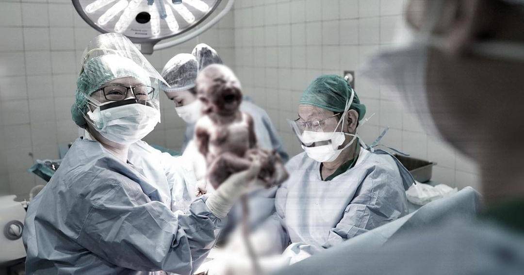 Instagram.com/greyspolii