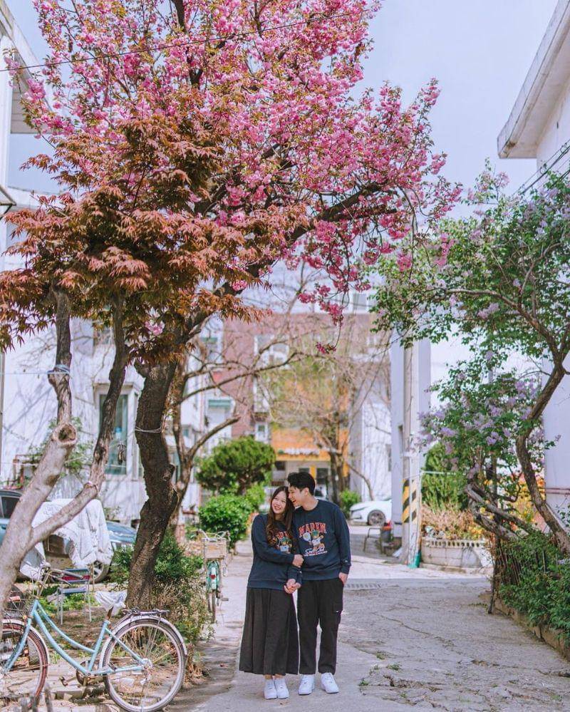 Instagram.com/jessnolimit