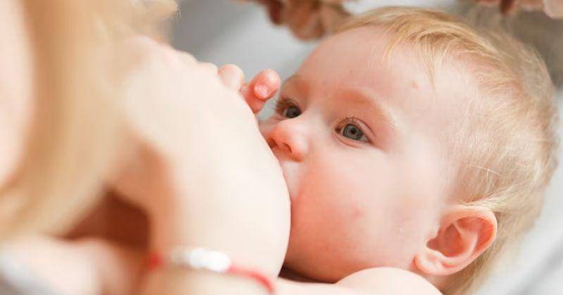 Freepik/Freepic.Diller