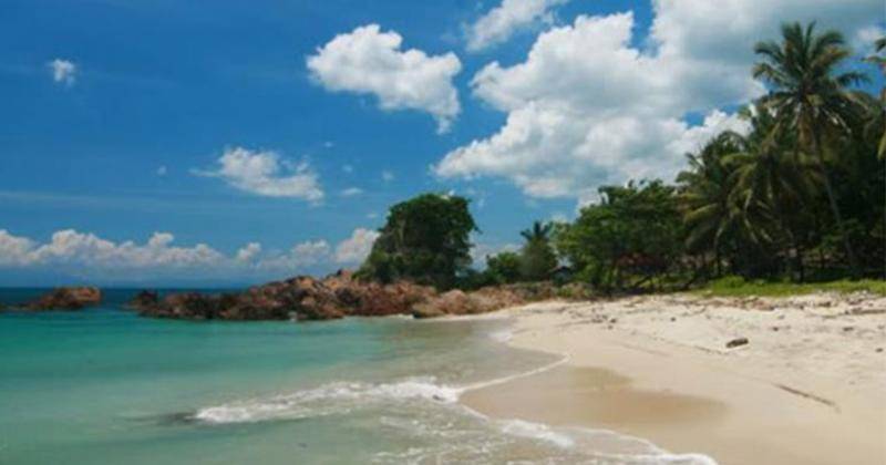 direkoripariwisata.id