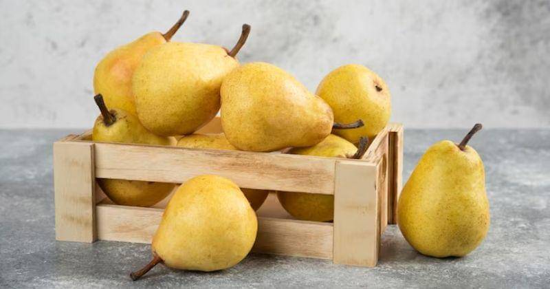 Freepik/Azerbaijan_stockers