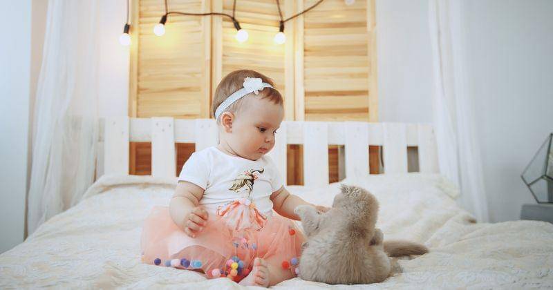 tes artikel - Freepik/Prostooleh