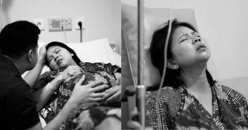 Instagram.com/greyspolii