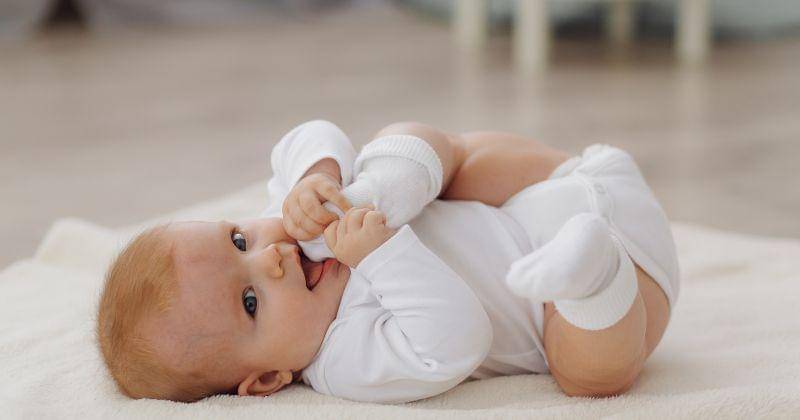 Freepik/bristekjegor