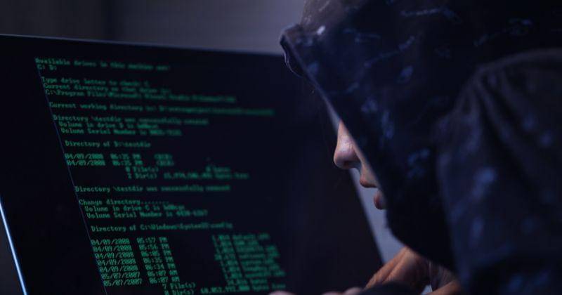 Freepik/Drazen Zigic