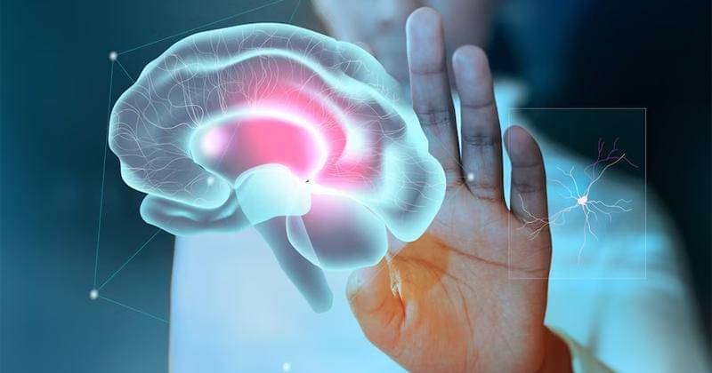 Freepik/rawpixel.com