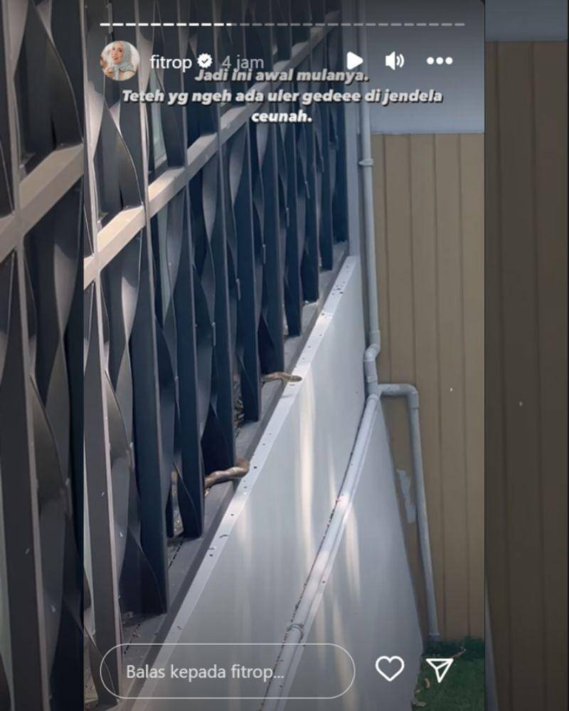 Instagram.com/fitrop