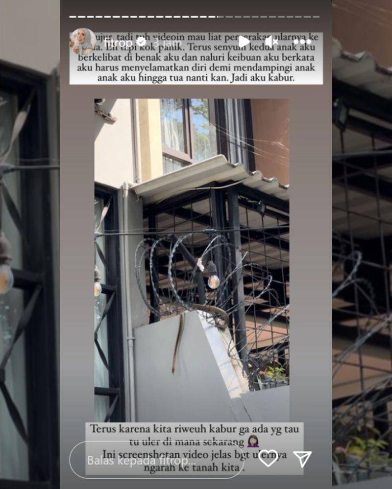 Instagram.com/fitrop