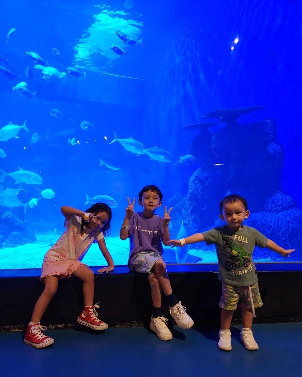 Instagram.com/dahliachr