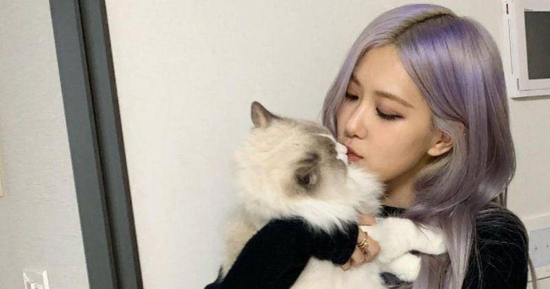 Instagram.com/Roses_are_rosie