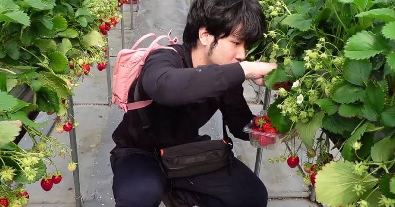 Youtube.com/Sisca Kohl