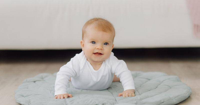 Freepik/bristekjegor