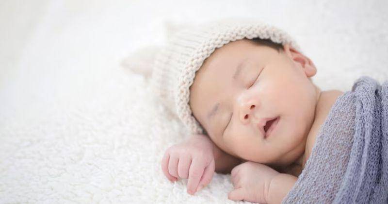 Freepik/Studioredcup