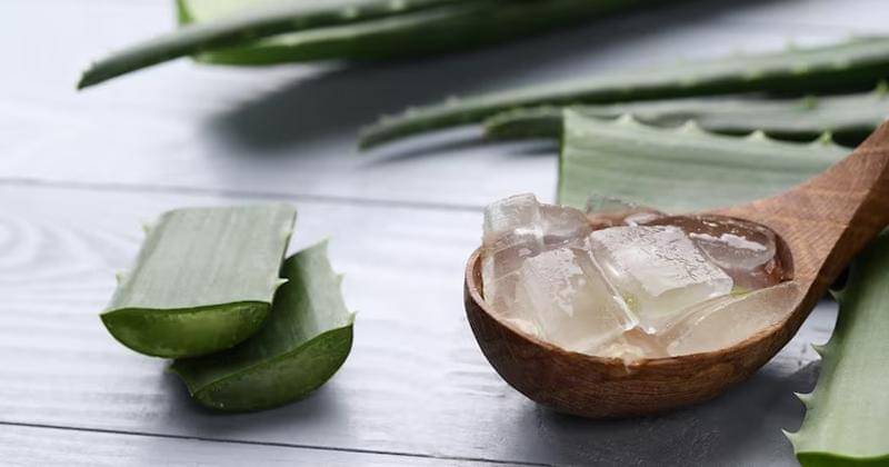 Freepik/Racool_studio