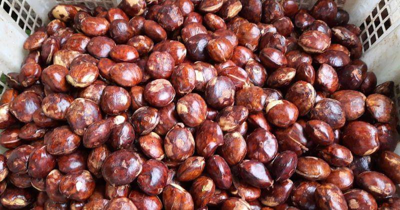 Pixabay/Andryhariata