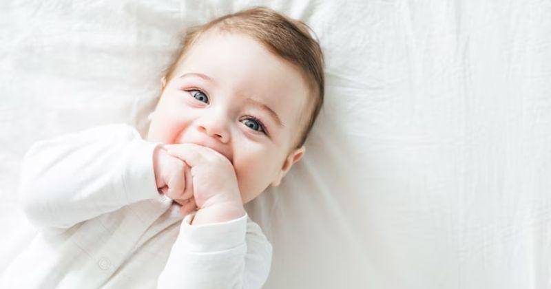 Freepik/Maybeyesstudio