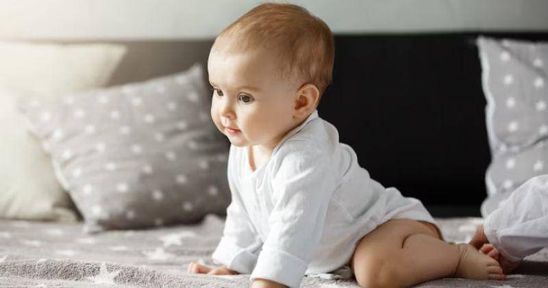 Freepik/Cookie_studio