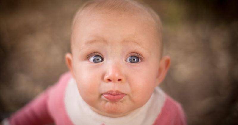 Pexels/Becerra Govea Photo