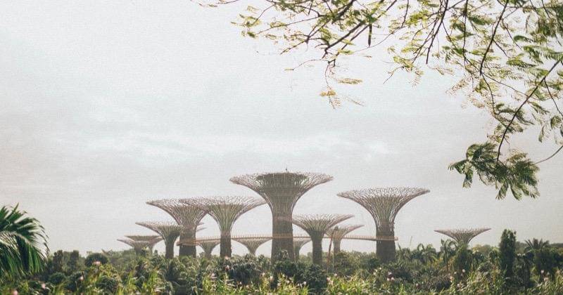 Pexels/Elina Sazonova