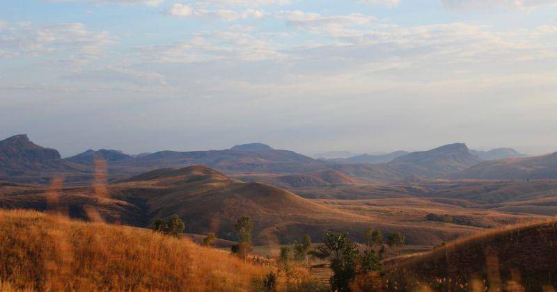 Unsplash/gemmmm 🖤