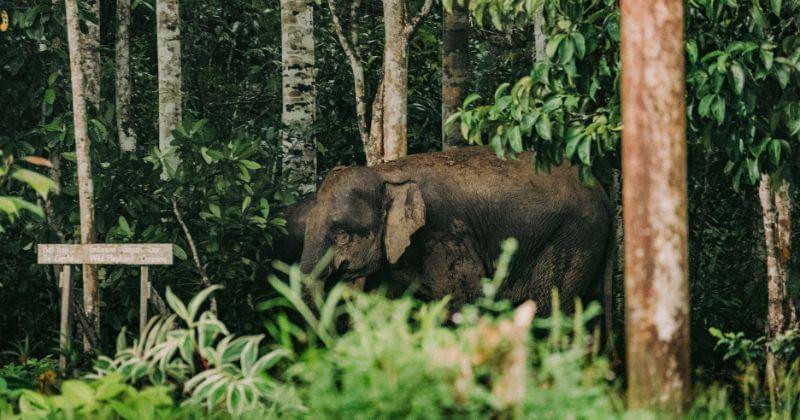 Unsplash/Colin + Meg