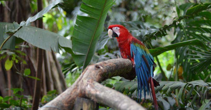 Unsplash/Juan Camilo Guarin P