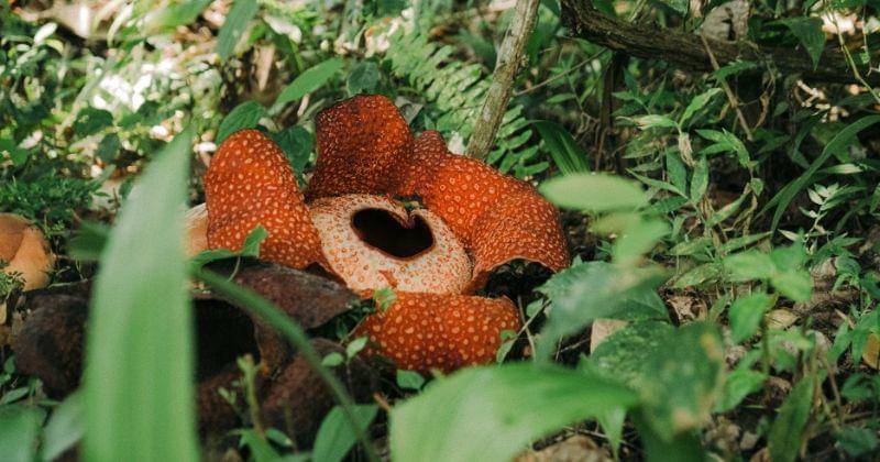 Unsplash/Colin + Meg