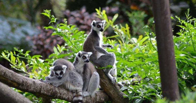 Unsplash/Juan Camilo Guarin P