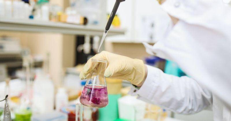 Pexels/Polina Tankilevitch