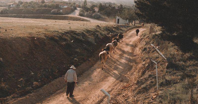 Pexels/Caner Cevirgen