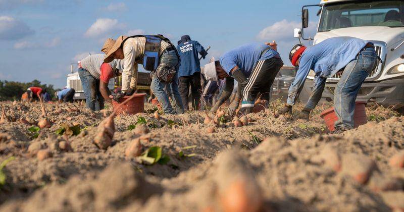 Pexels/Mark Stebnicki