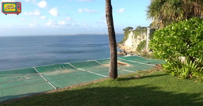 Youtube.com/MAIA ALELDUL TV