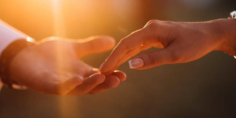 test artikel - Freepik/freepic.diller