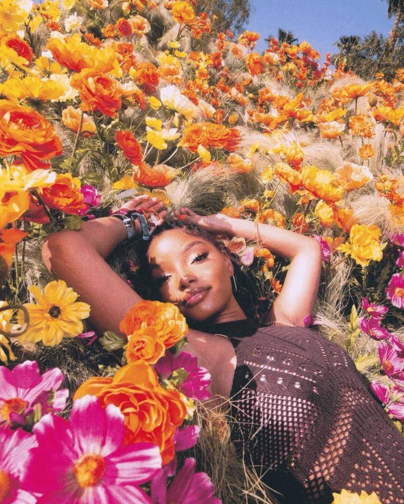 Instagram.com/hallebailey