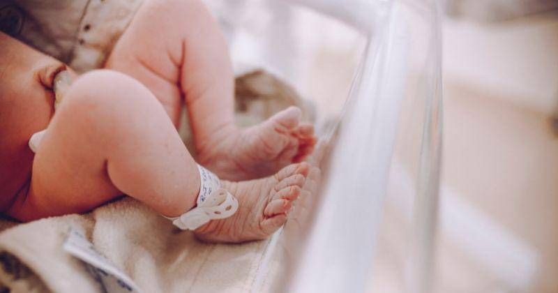 Pexels/Vidal Balielo Jr.