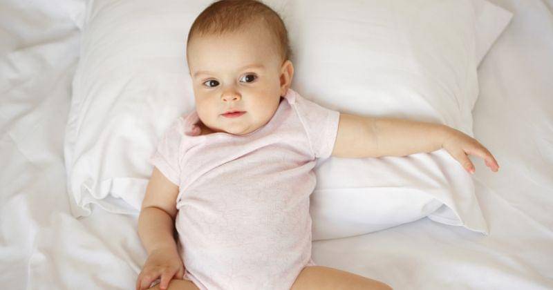 Freepik/cookie_studio