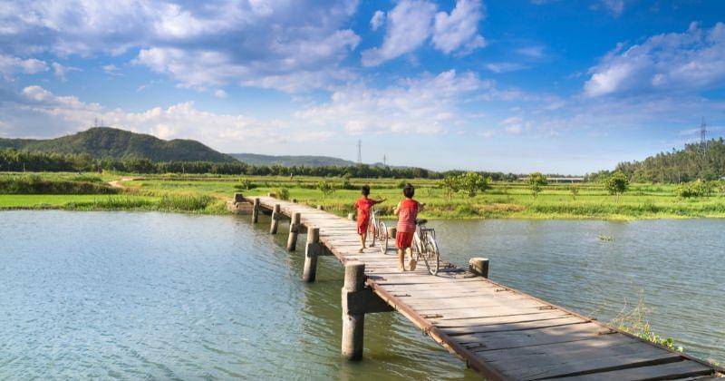 Pexels/Quang Nguyen Vinh