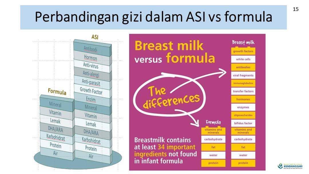 Perbandingan gizi dalam ASI vs susu formula - Dok. IDN Media