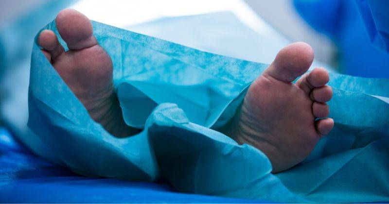 Freepik/peoplecreations