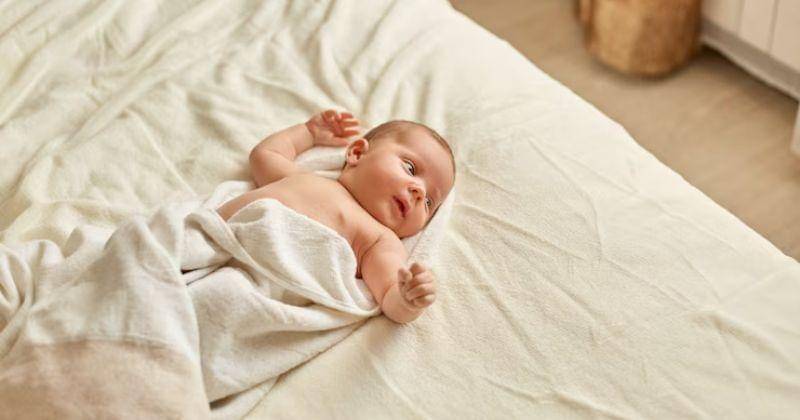 Freepik/User18526052