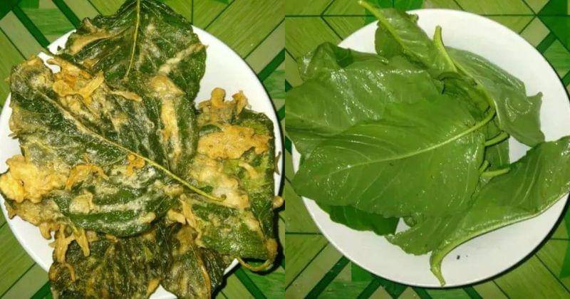 Yummy.co.id/Cheyl_via