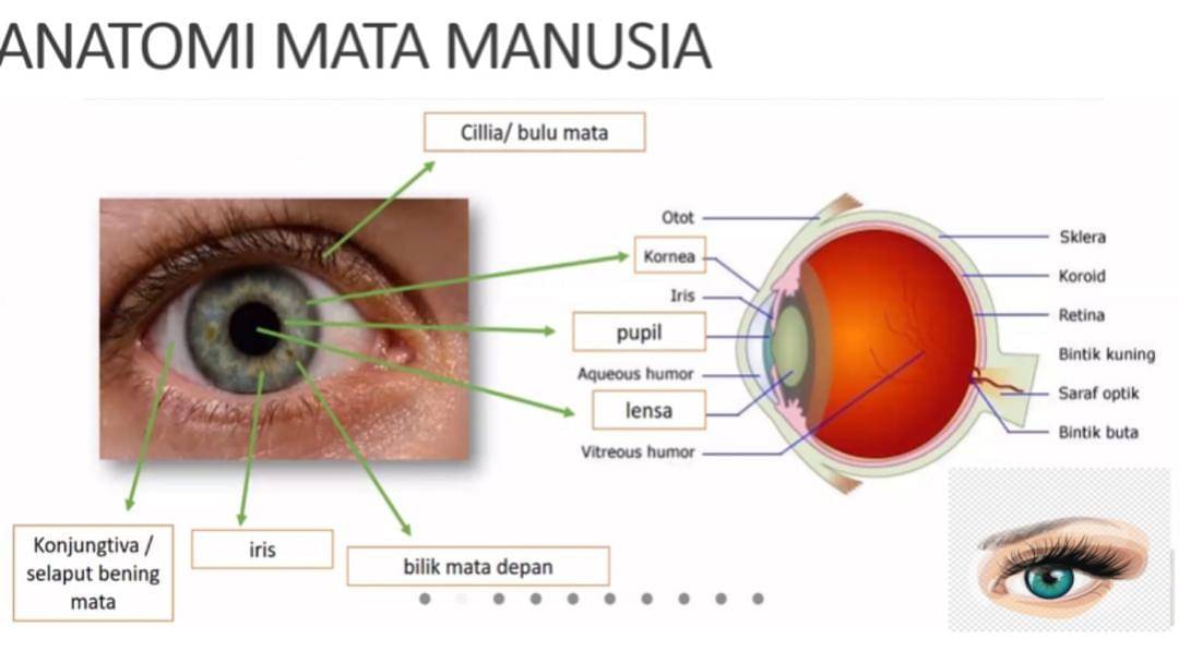Dok. Dinkes Surakarta