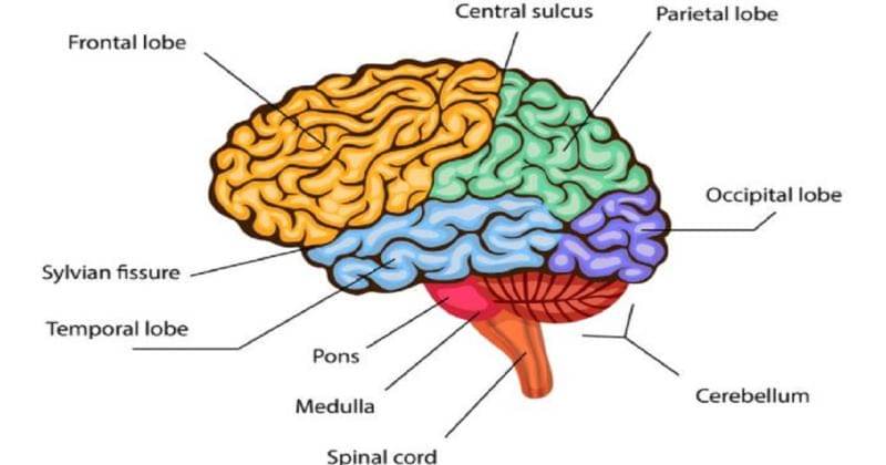 Dok. Dirjen Pelayanan Kesehatan